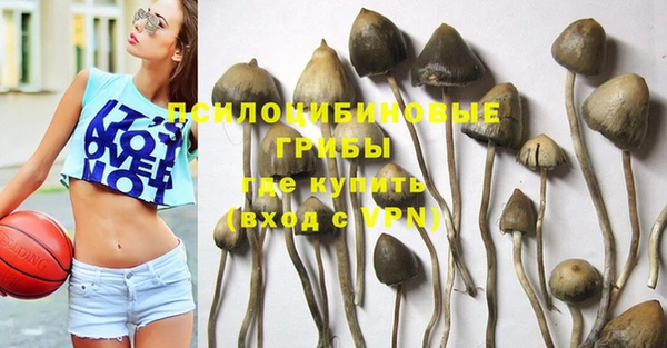 хмурый Богородицк